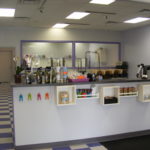 Professional Dog Grooming in Milton