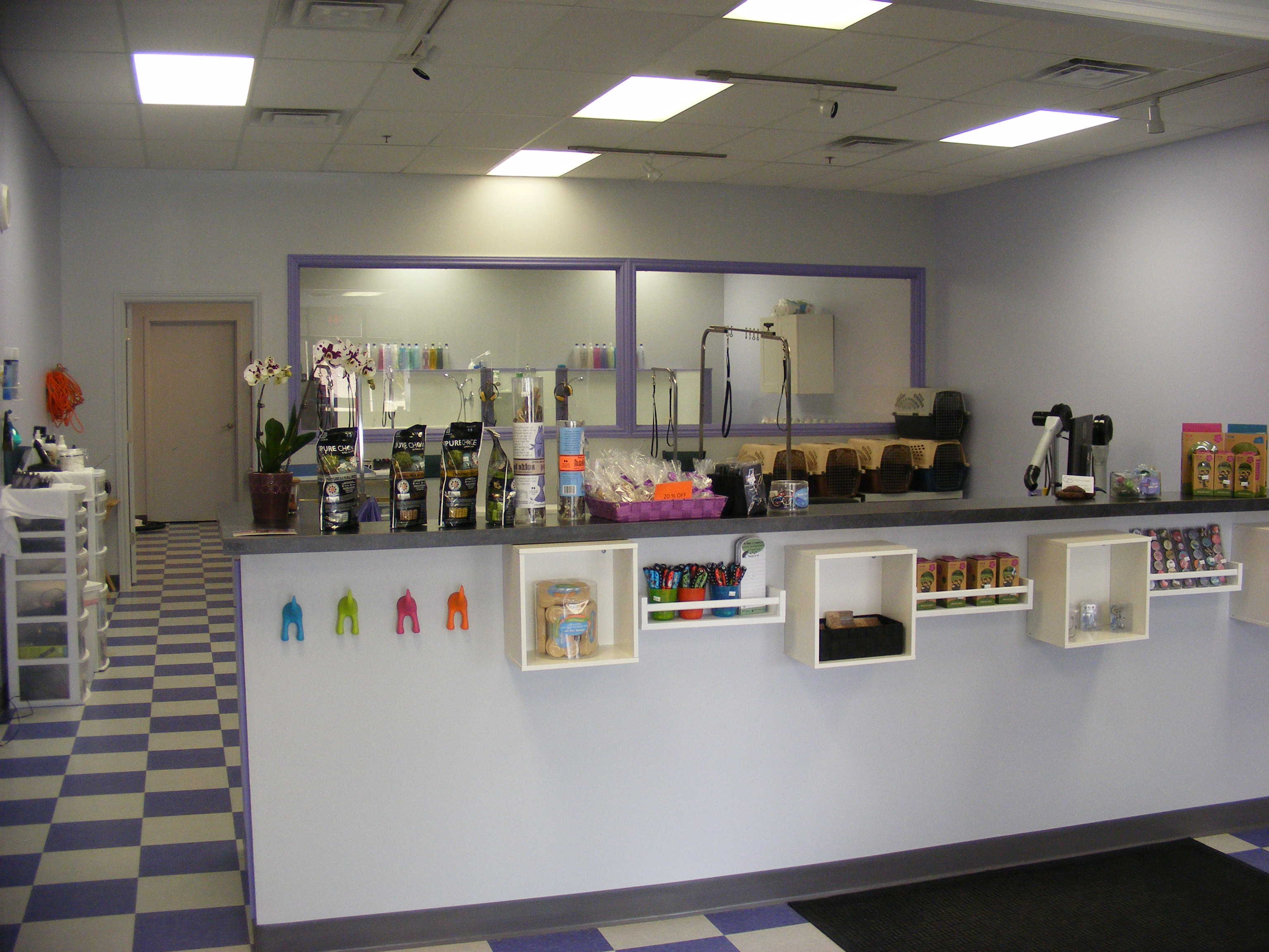 Amazing Dog Grooming West Allis of the decade The ultimate guide 